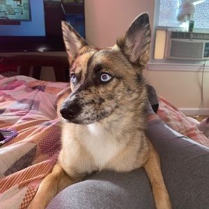 Meet your Posher, Dianarys